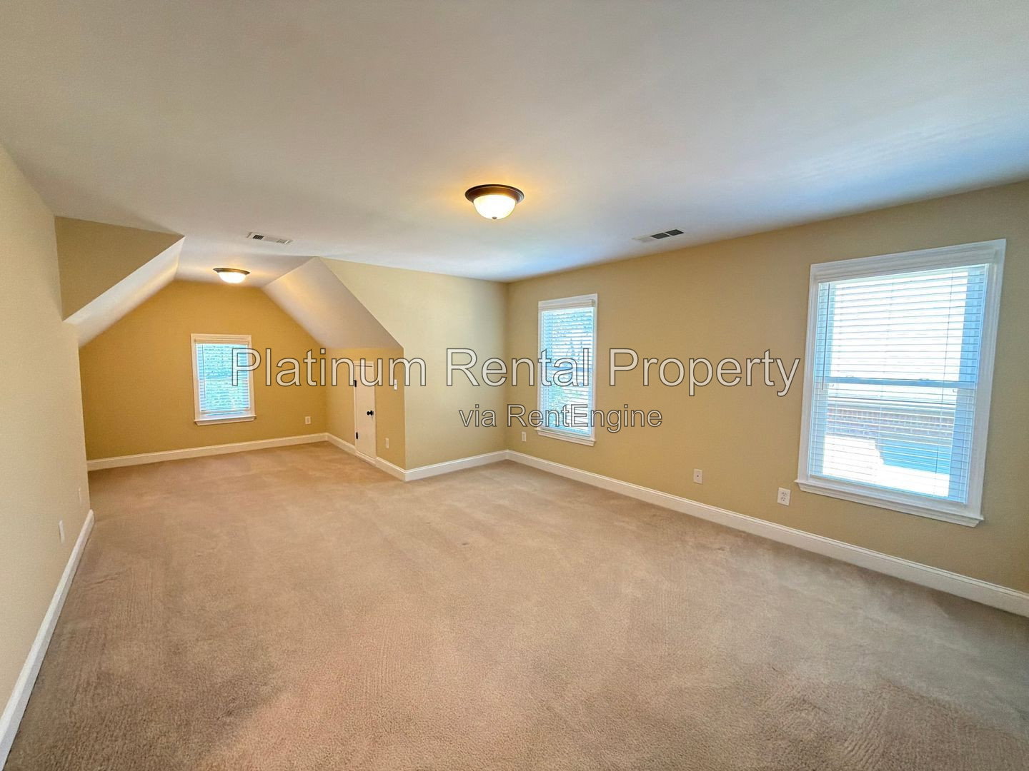 Gallery Image 36