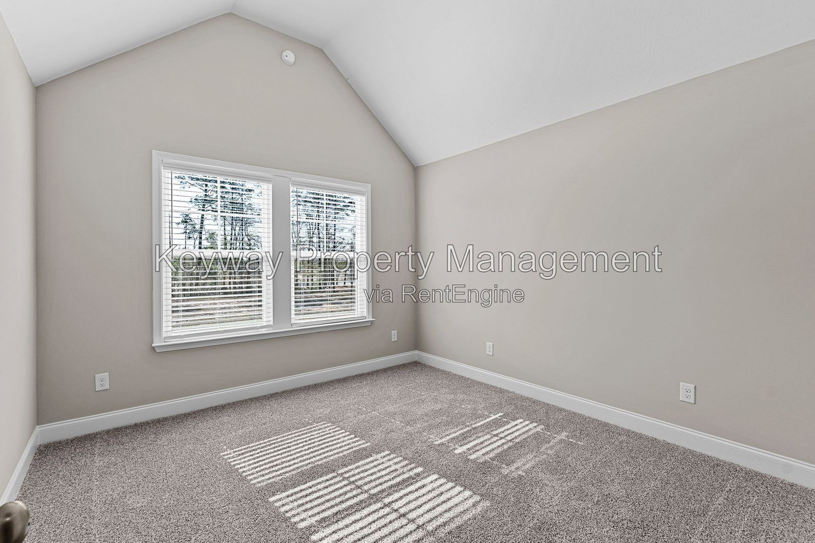 Gallery Image 19