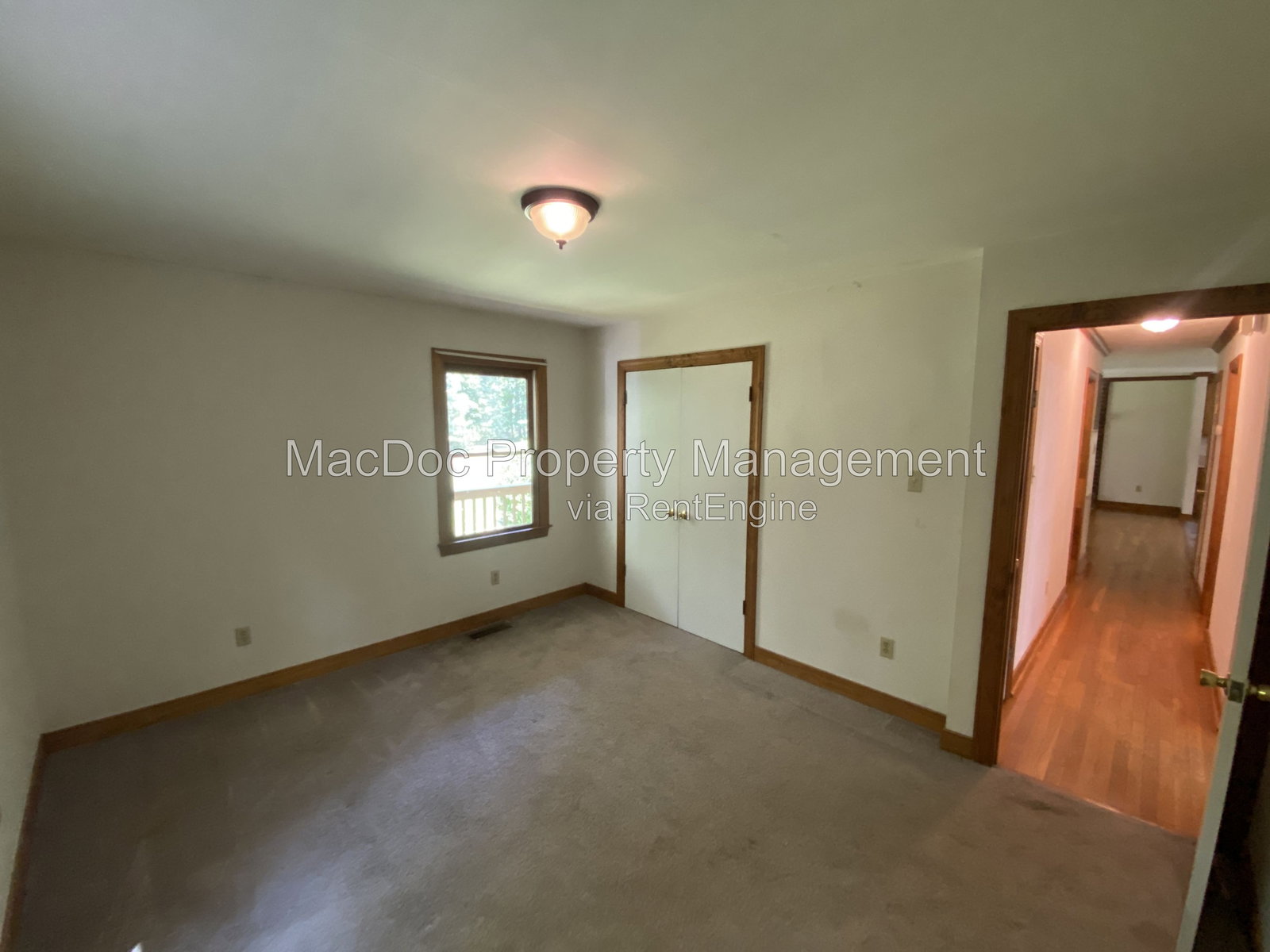 Gallery Image 16