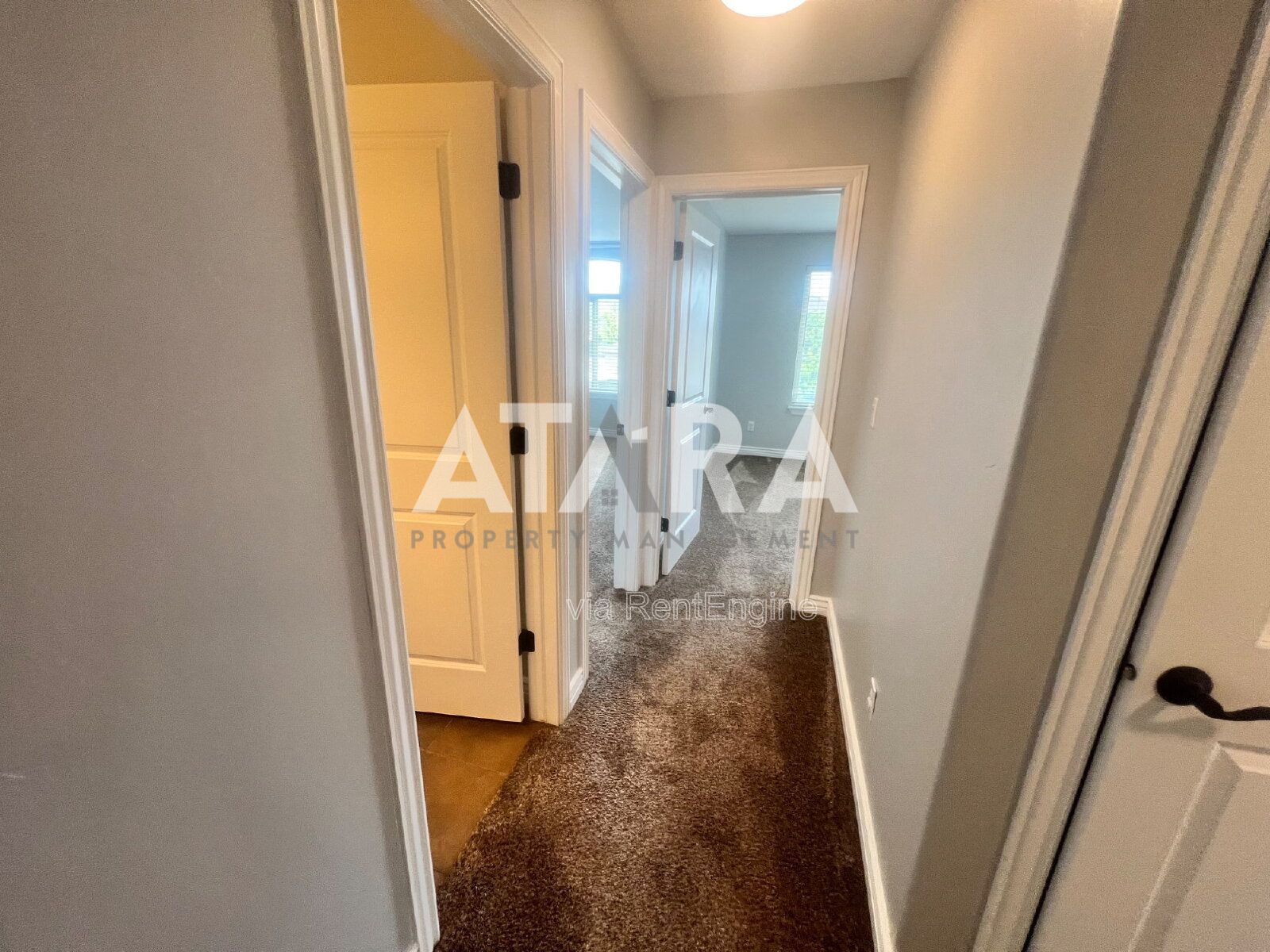 Gallery Image 28