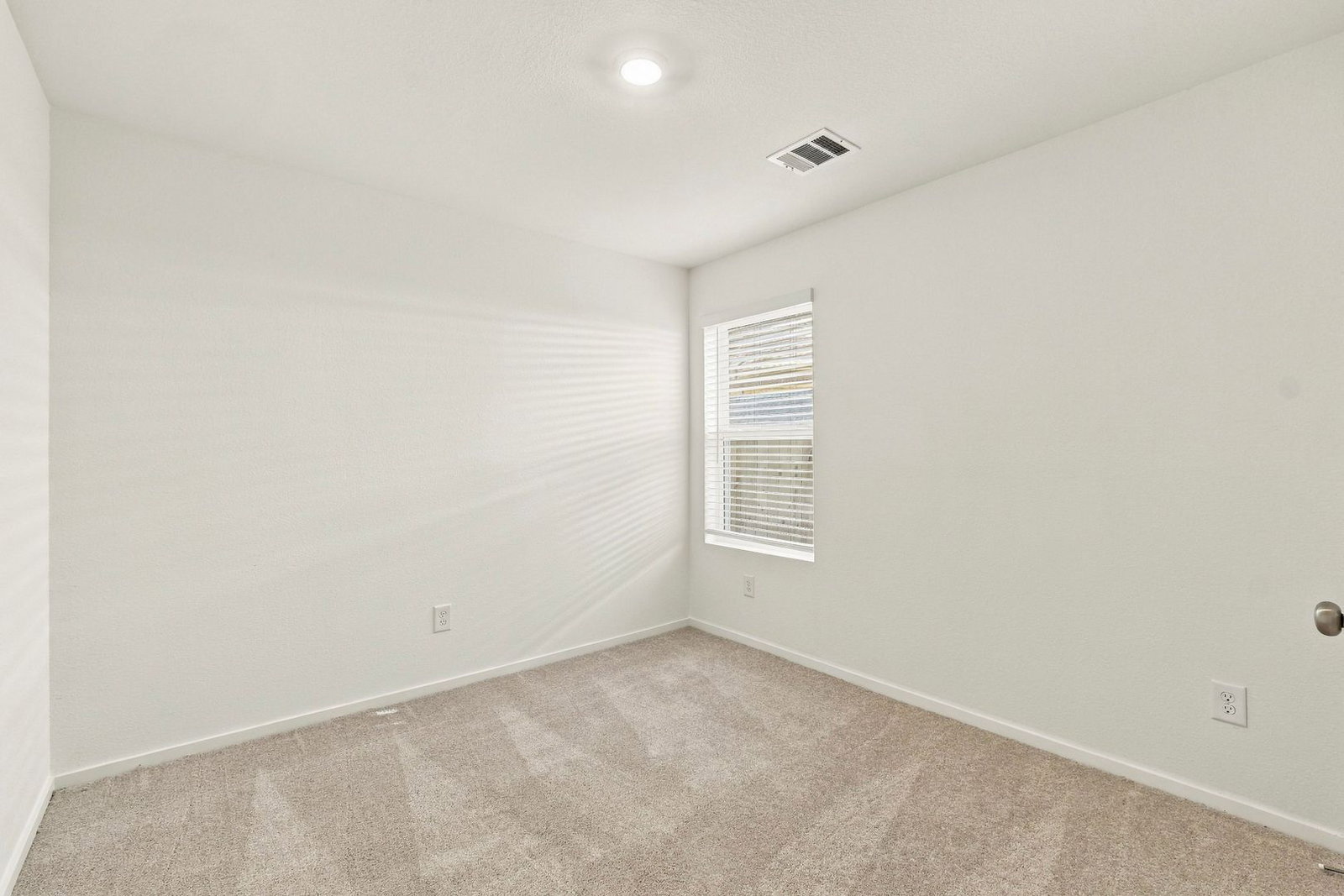 Gallery Image 19