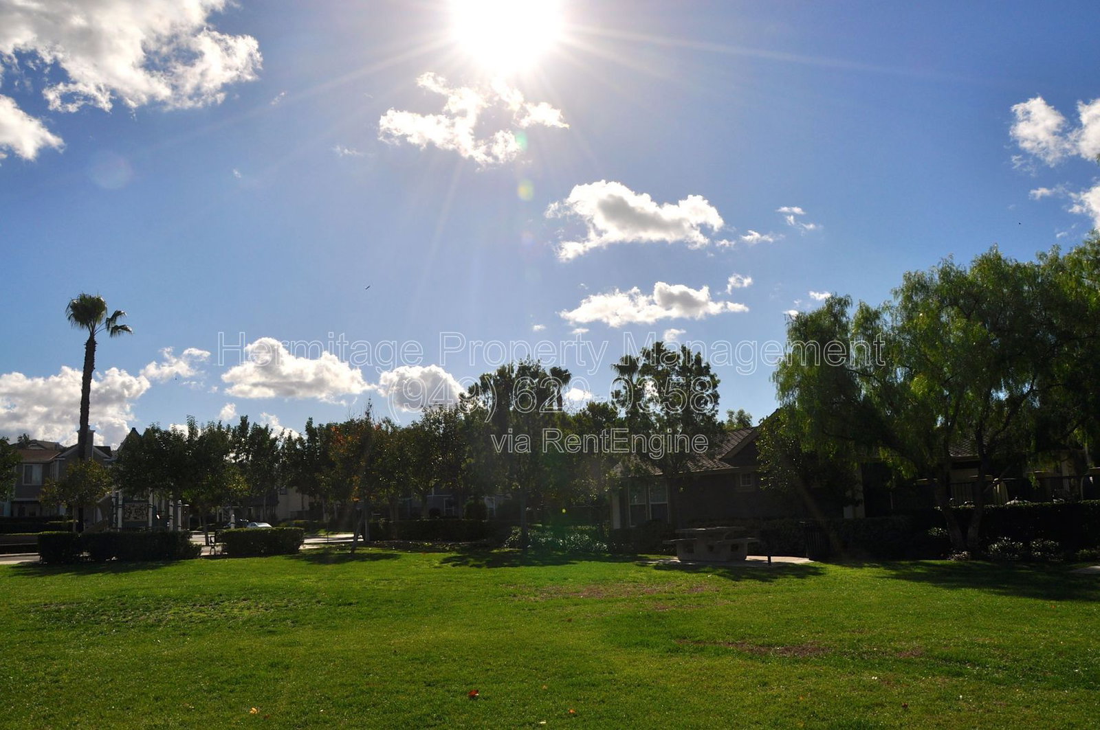 Gallery Image 14
