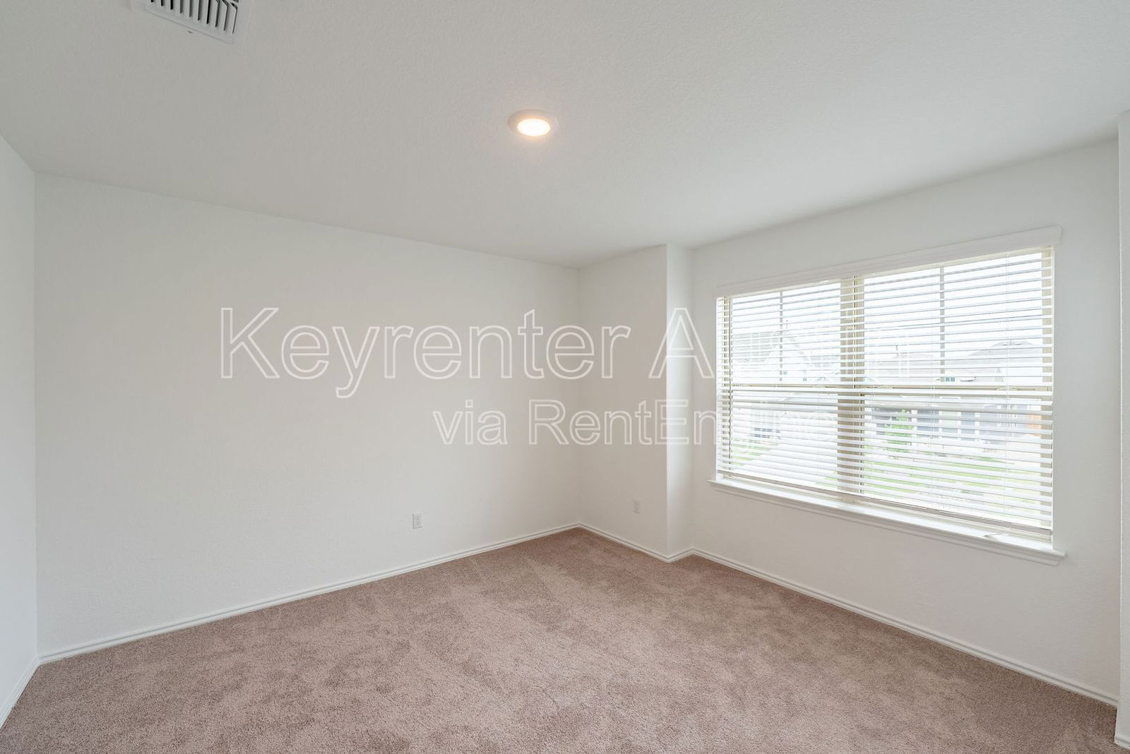Gallery Image 19