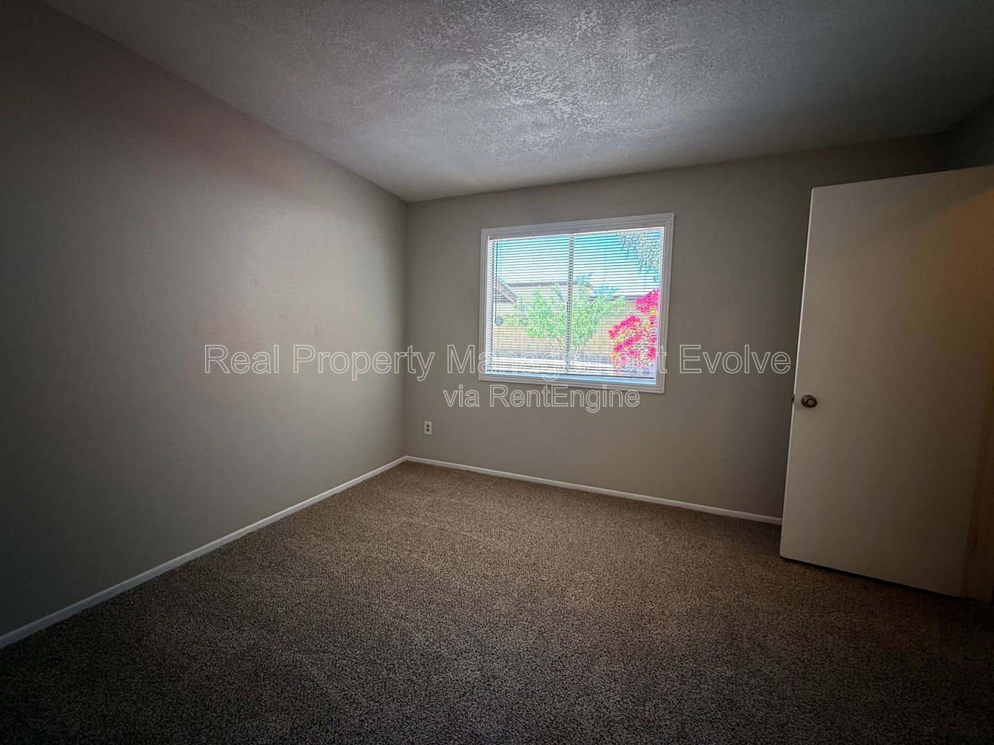 Gallery Image 19