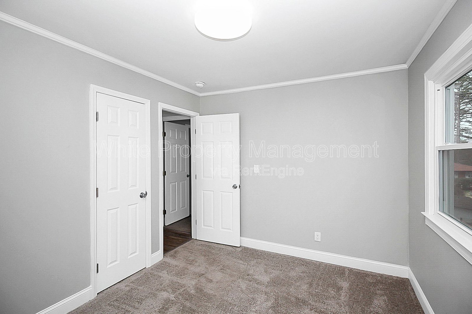 Gallery Image 19