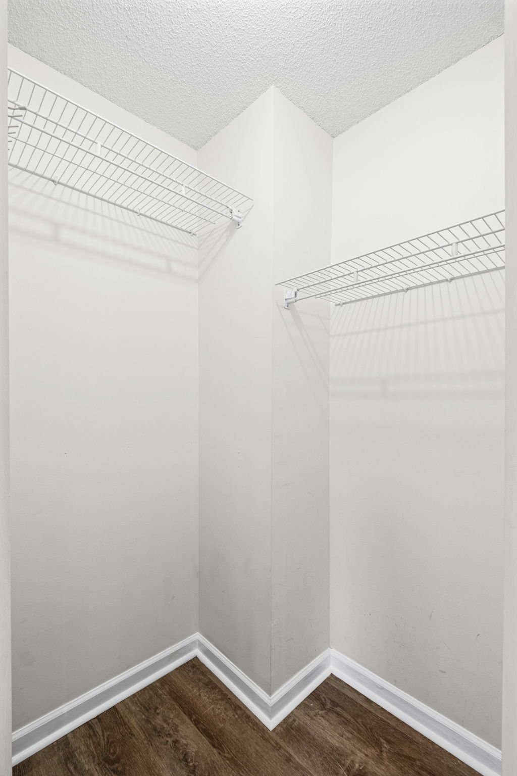 Gallery Image 26
