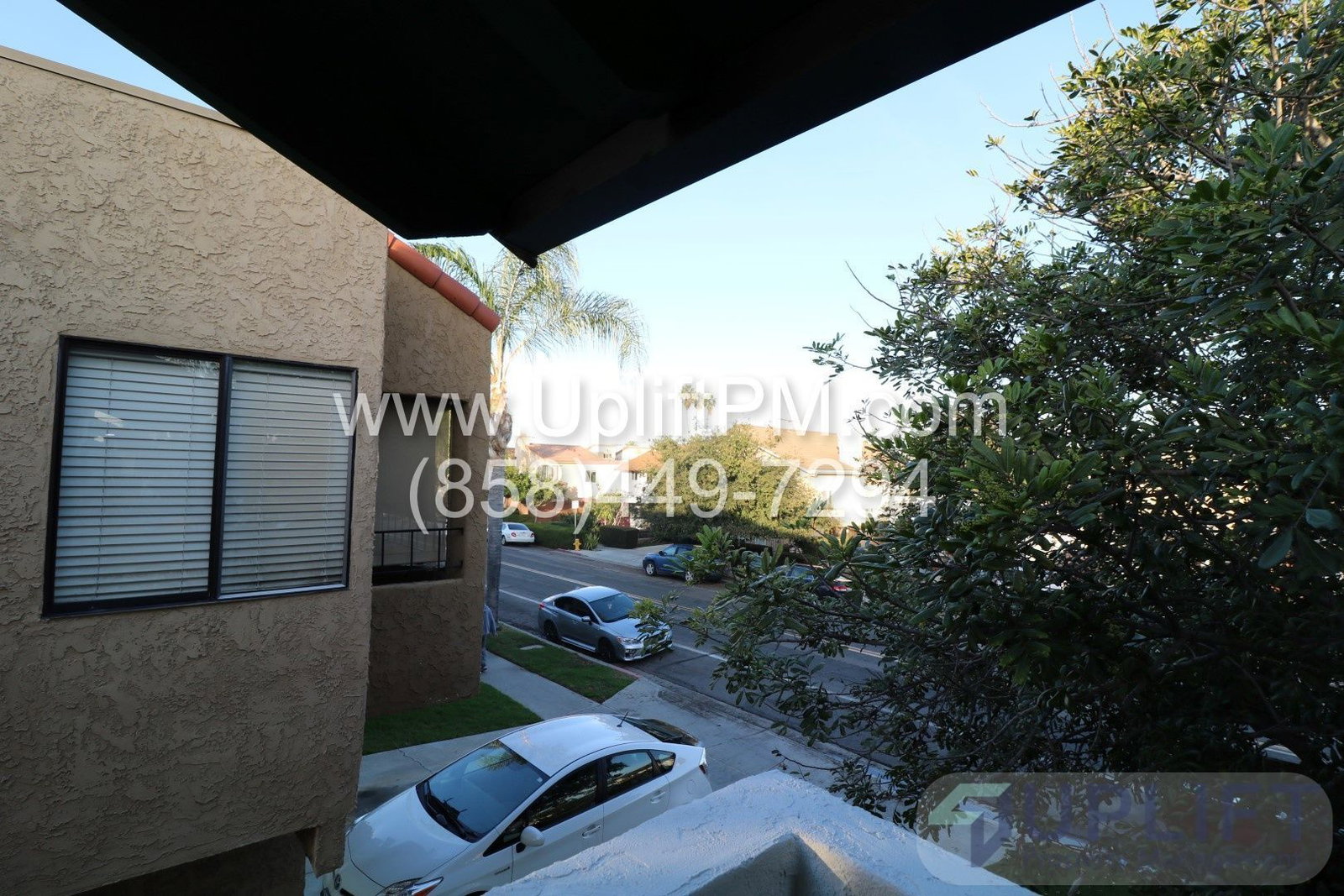 Gallery Image 15