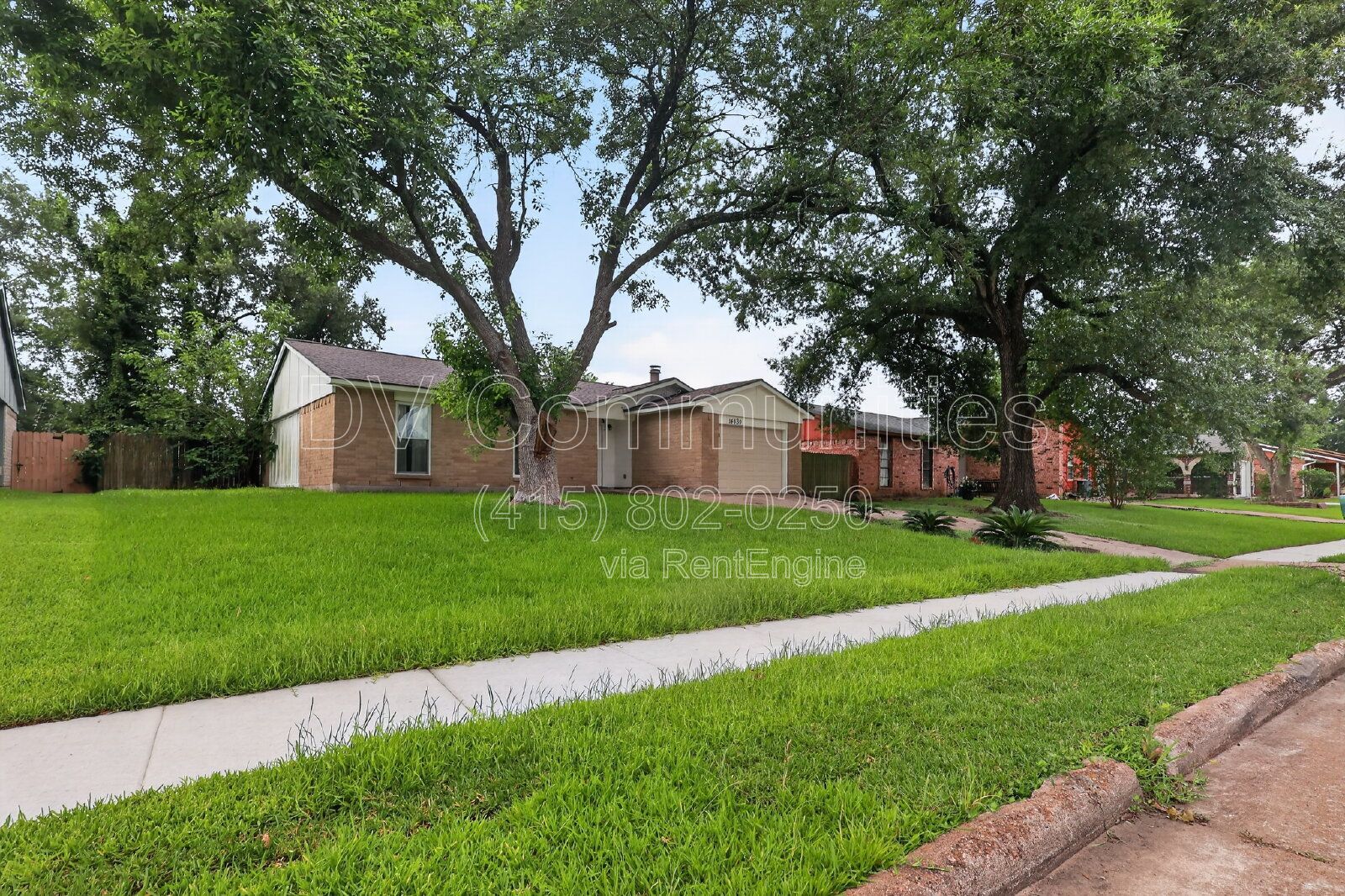 Gallery Image 15
