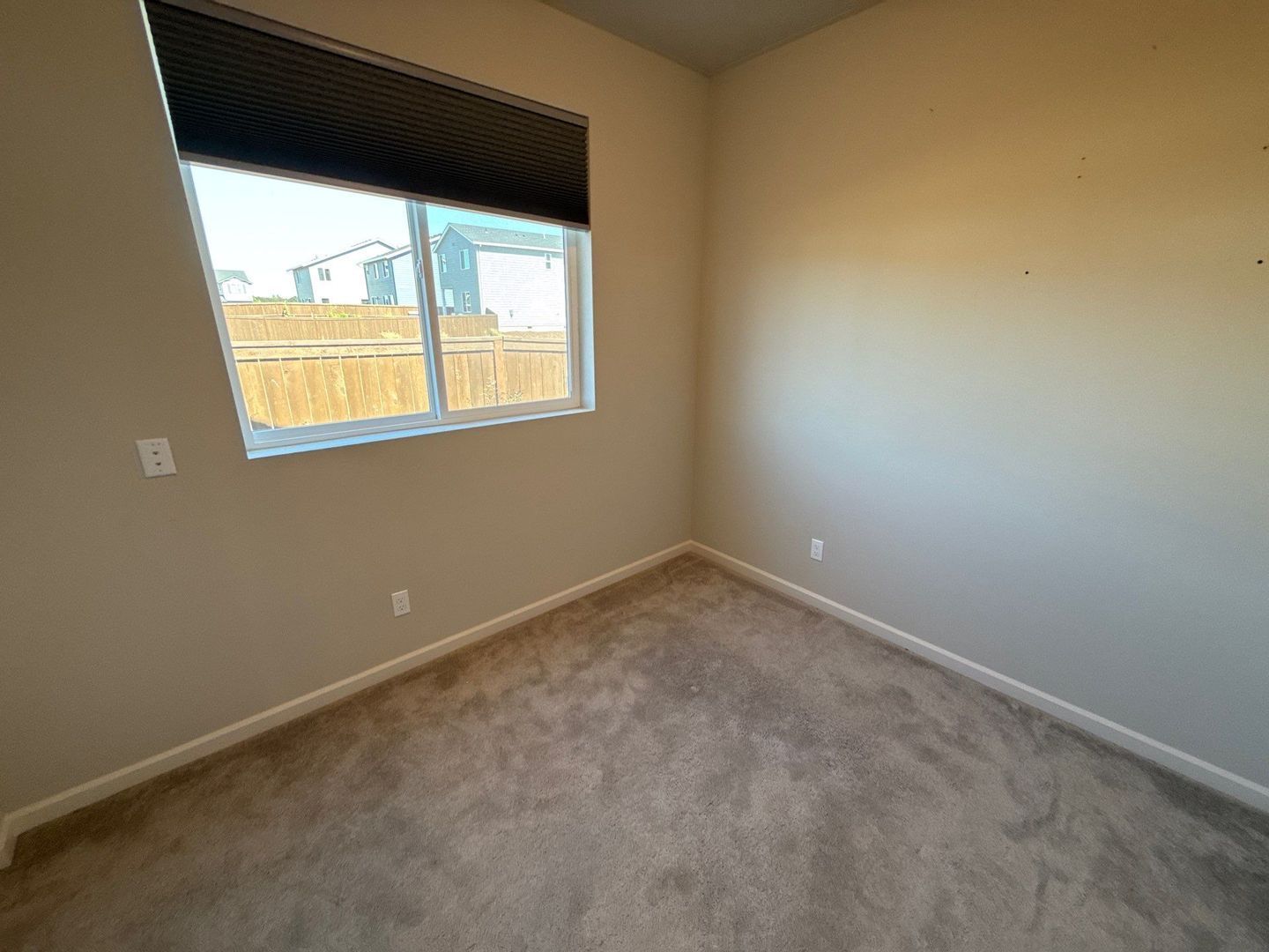 Gallery Image 19