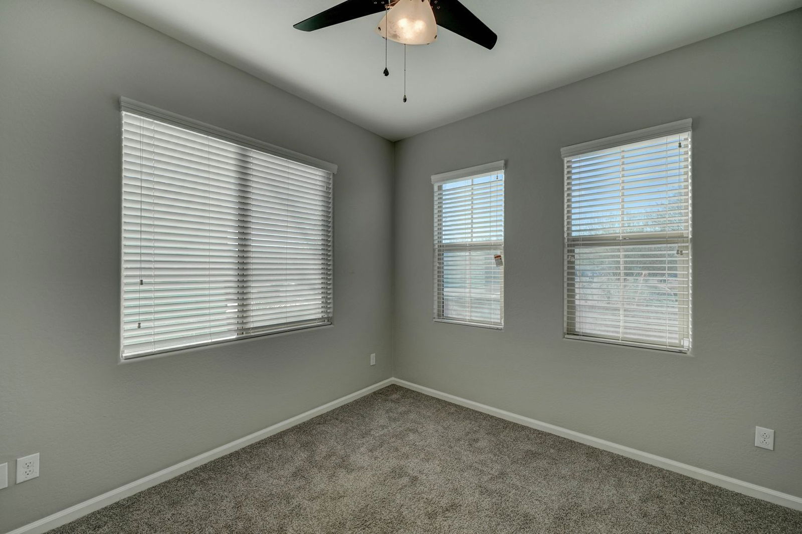 Gallery Image 16