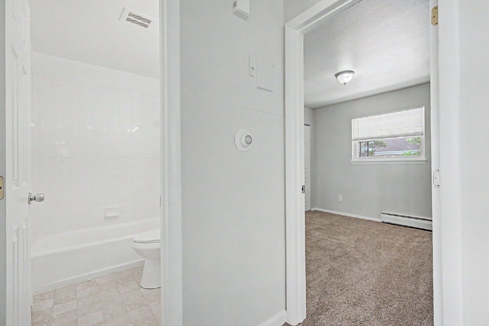 Gallery Image 20