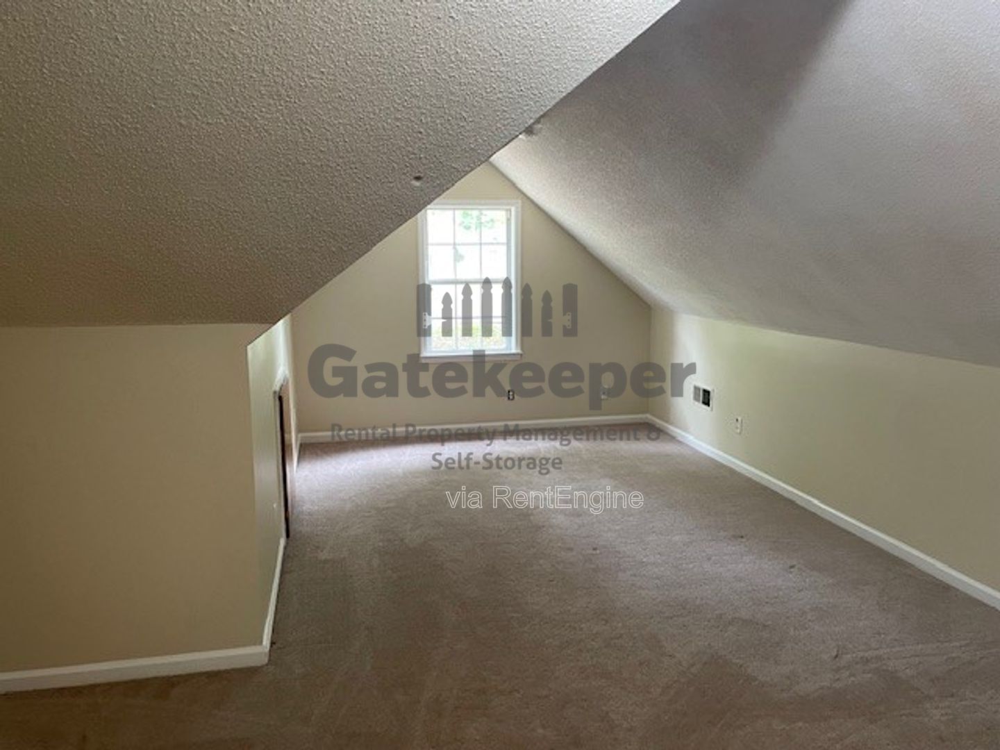 Gallery Image 19