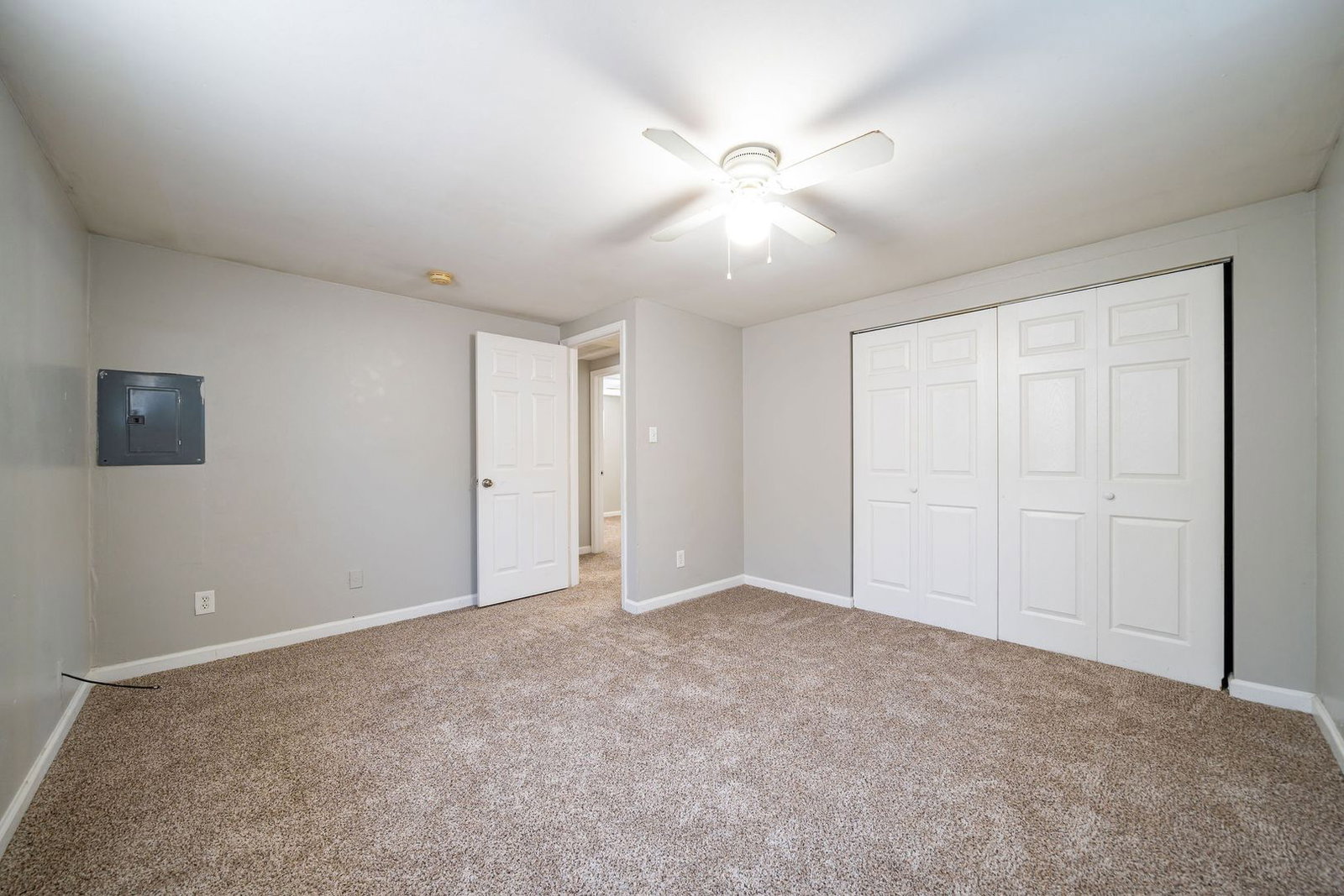 Gallery Image 7
