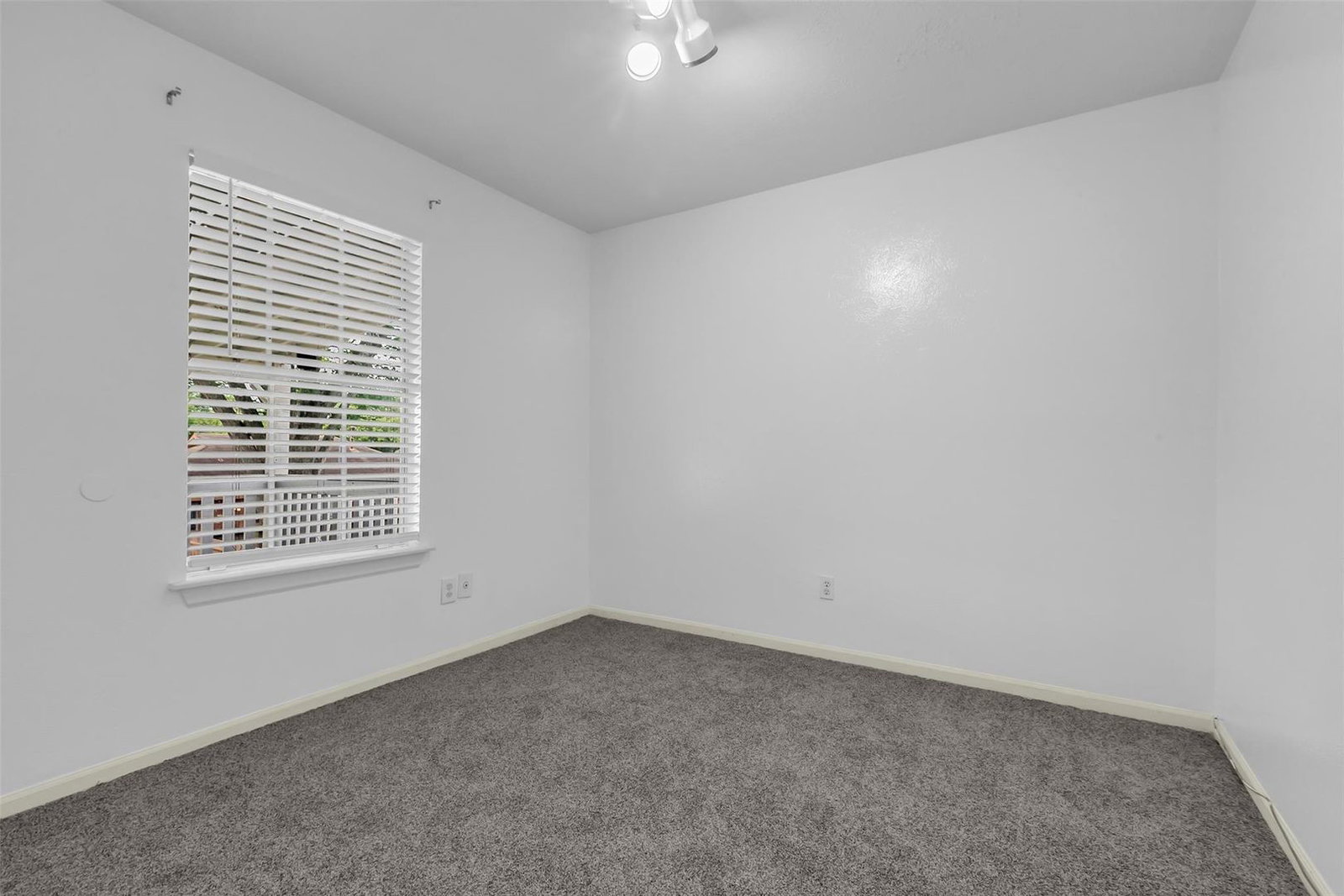 Gallery Image 19
