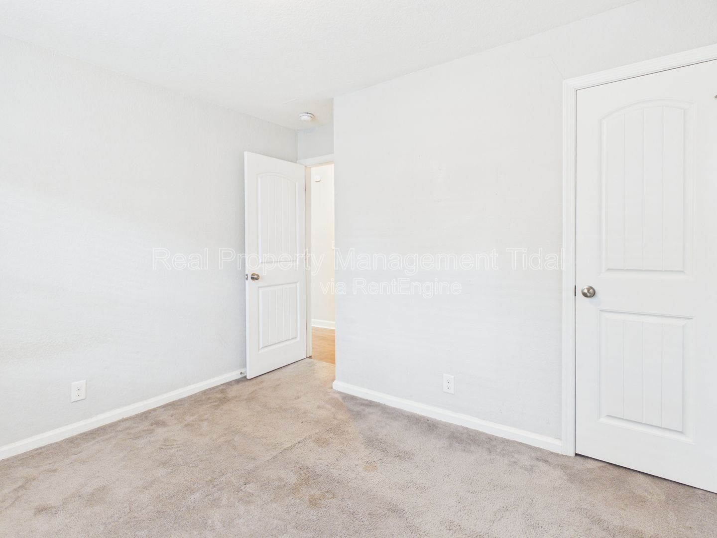 Gallery Image 19