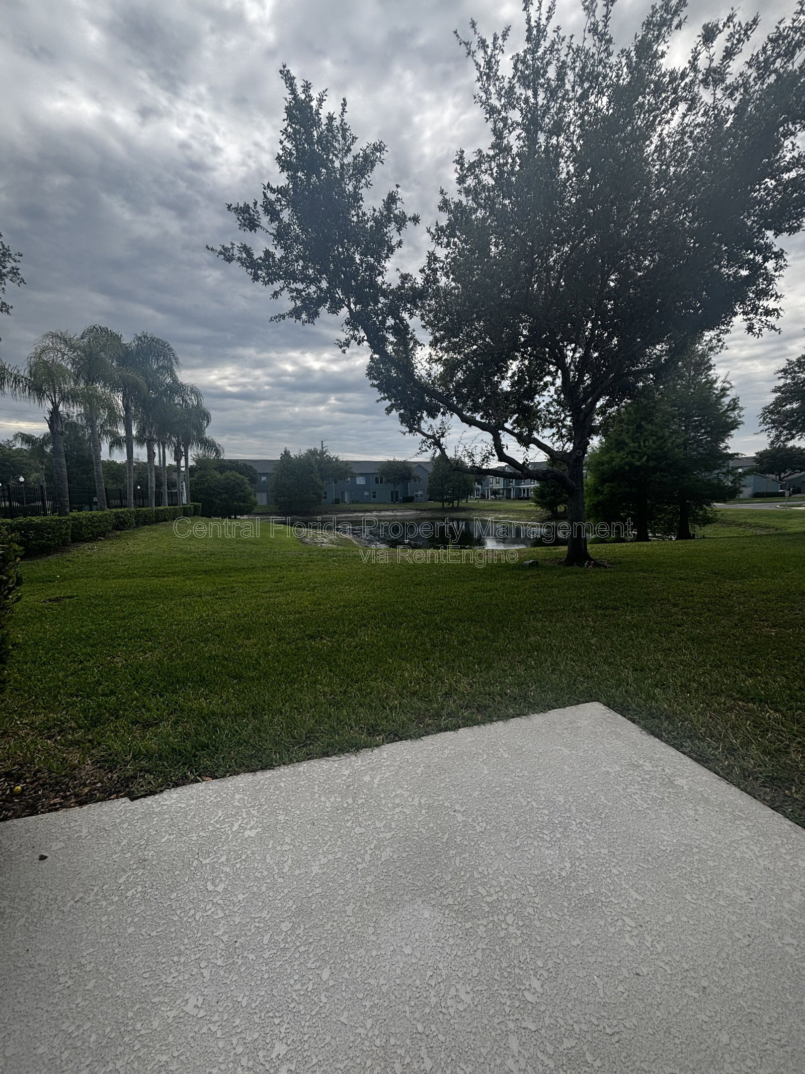 Gallery Image 21