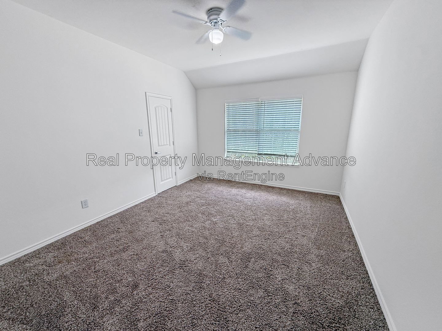 Gallery Image 19