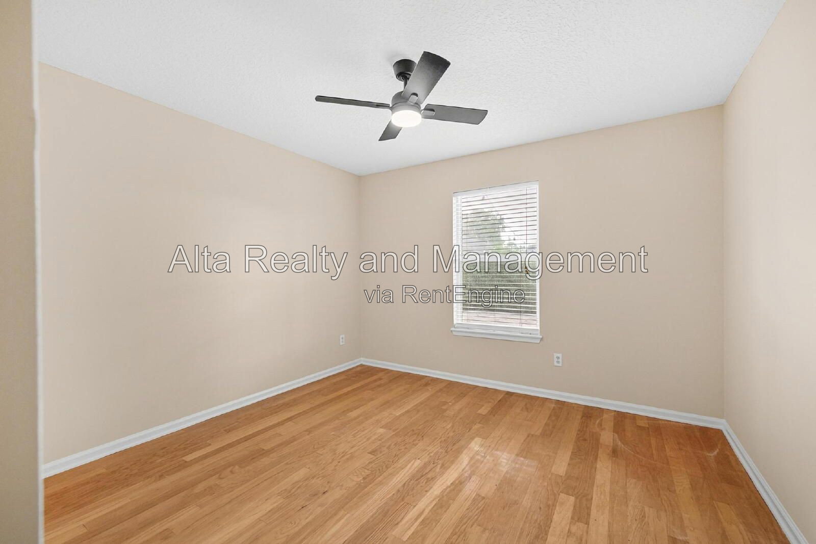 Gallery Image 20