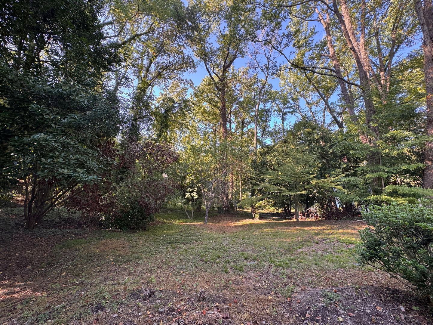 Gallery Image 36