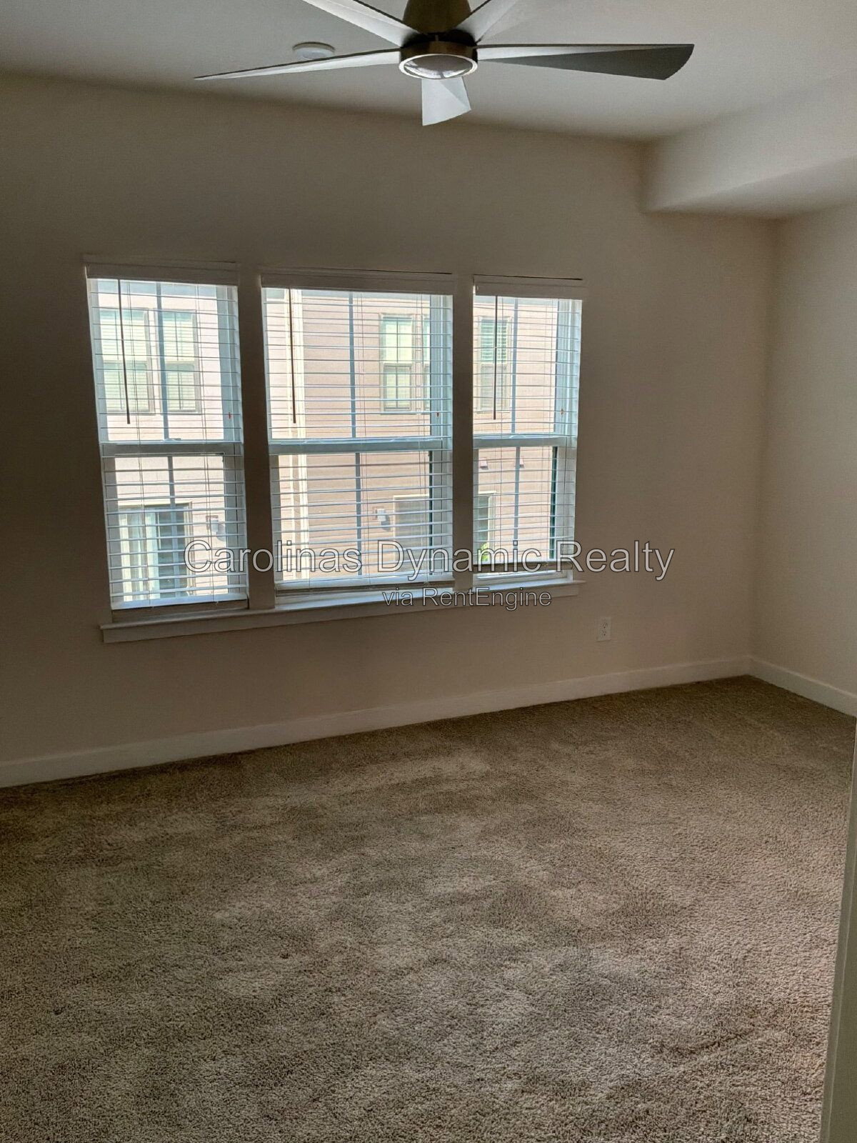 Gallery Image 20