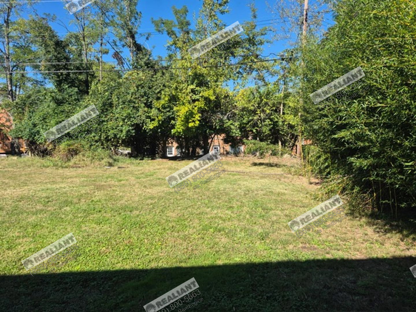Gallery Image 29