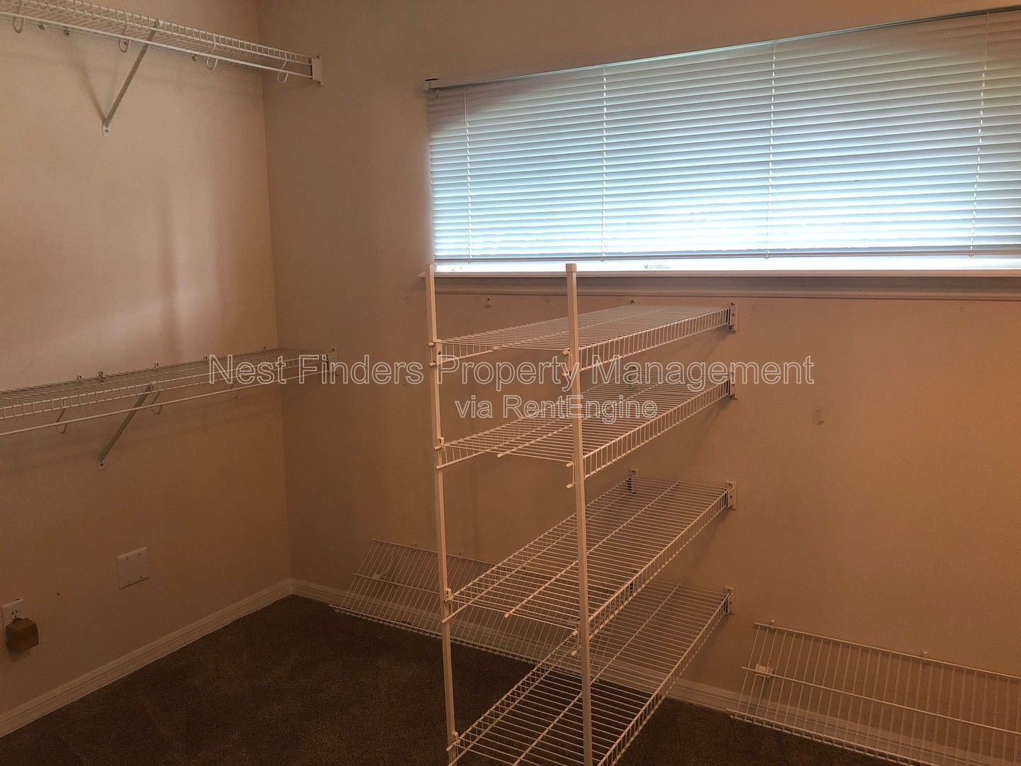 Gallery Image 17
