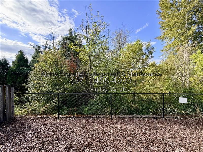Gallery Image 23