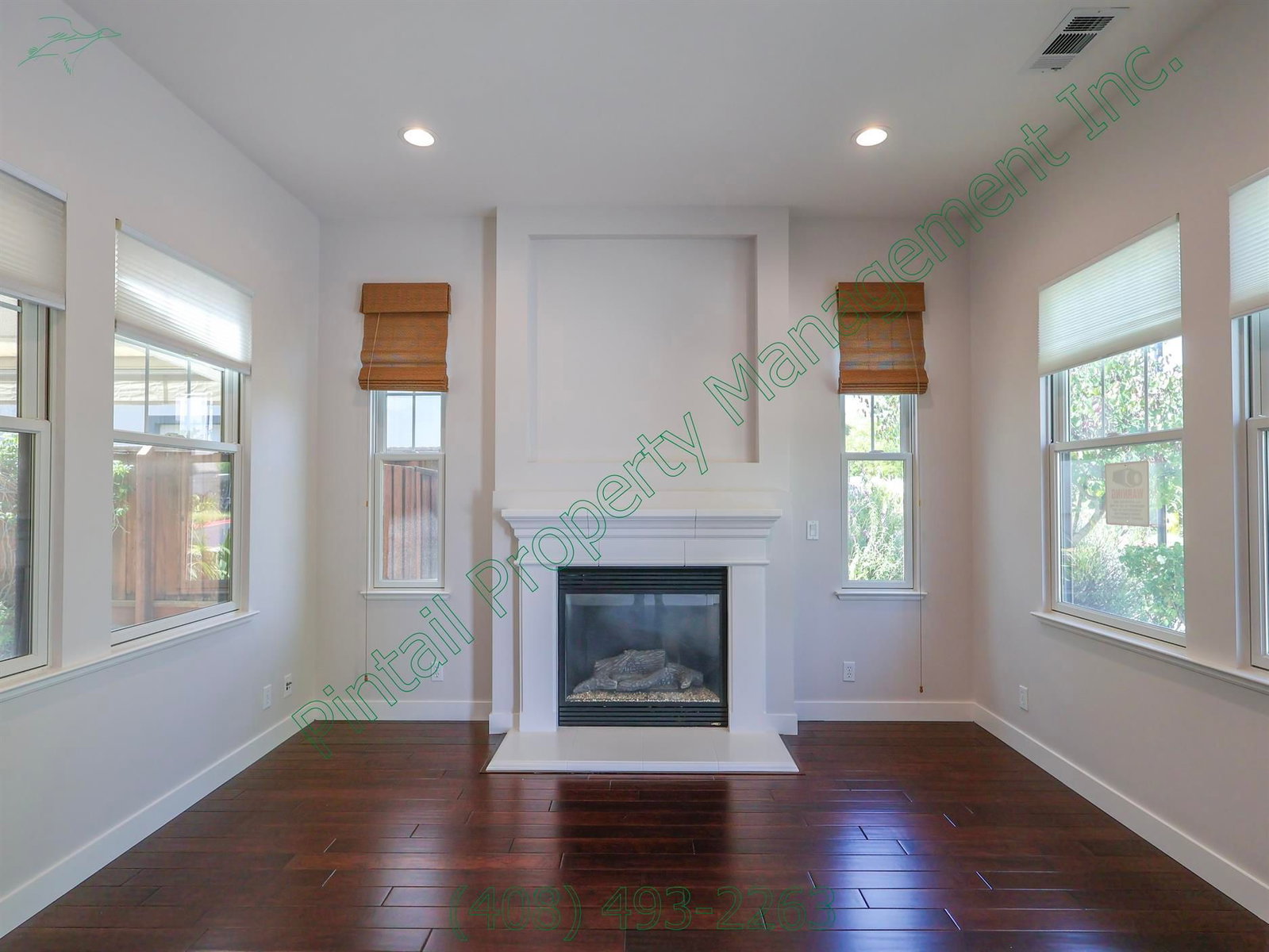 Gallery Image 0