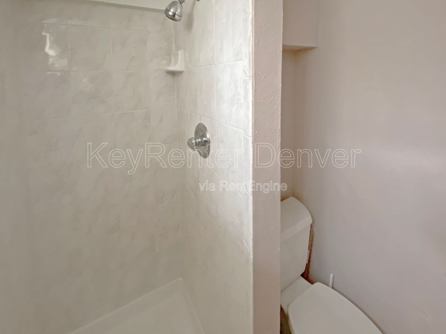 Gallery Image 19