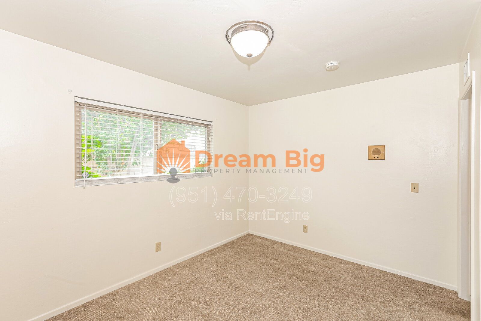 Gallery Image 29