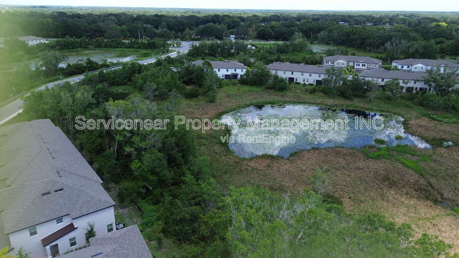 Gallery Image 16