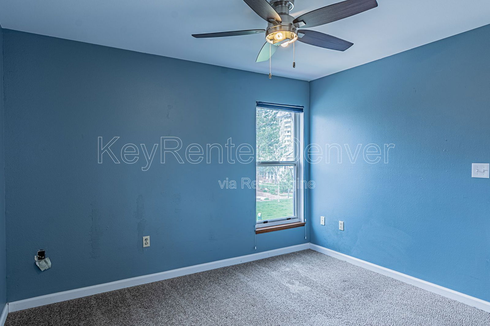 Gallery Image 18