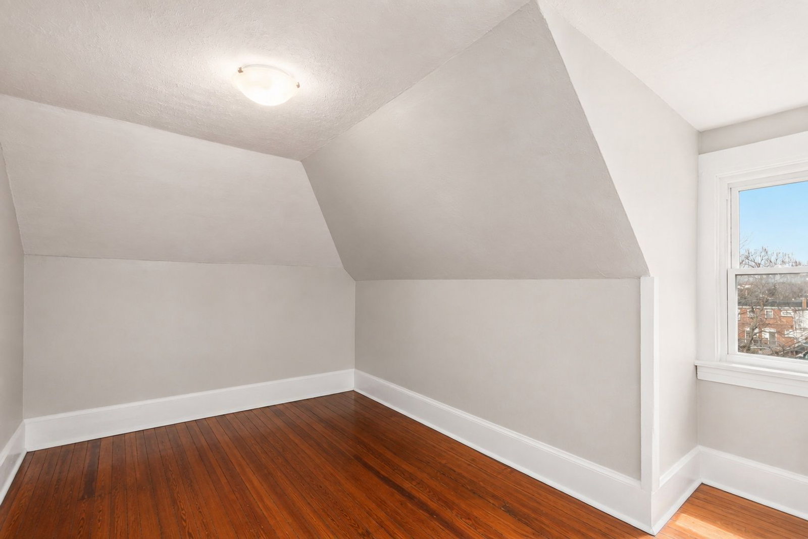 Gallery Image 19
