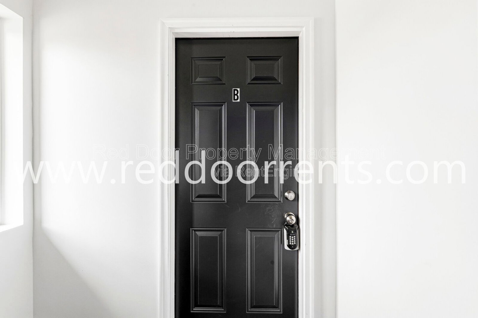 Gallery Image 14