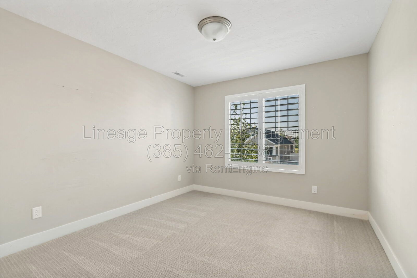 Gallery Image 22