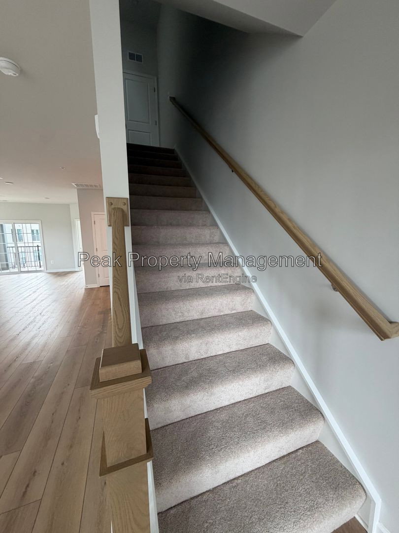 Gallery Image 16