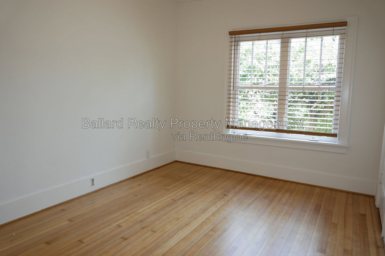 Gallery Image 19
