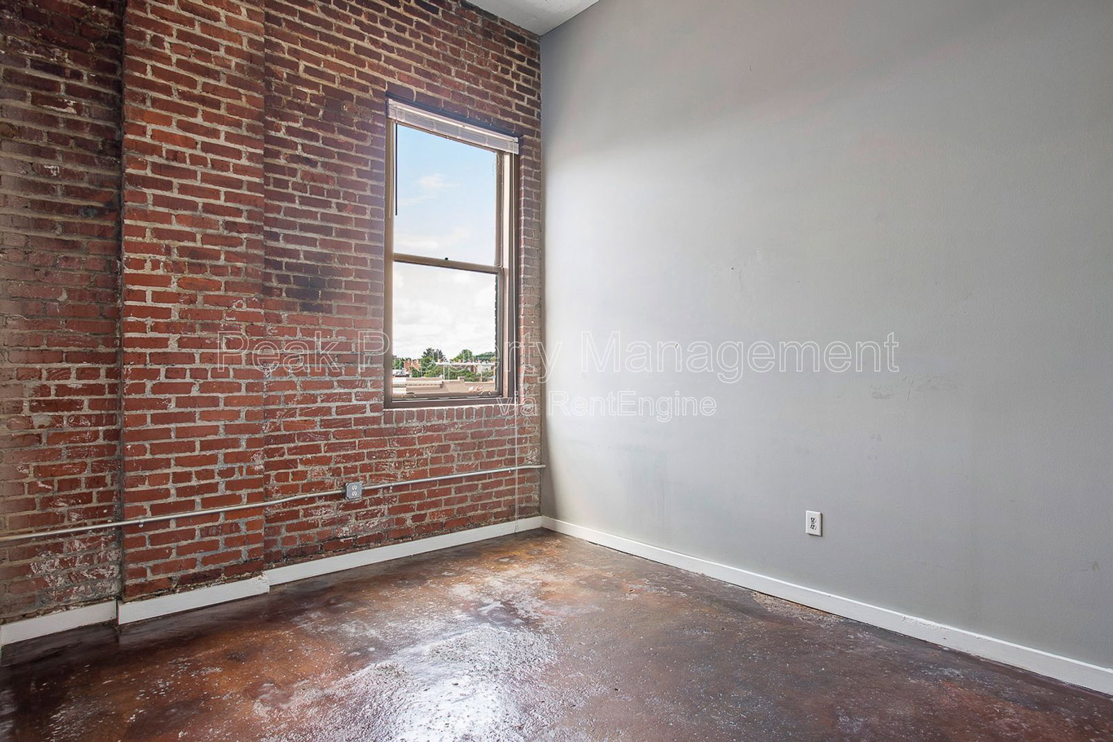 Gallery Image 14