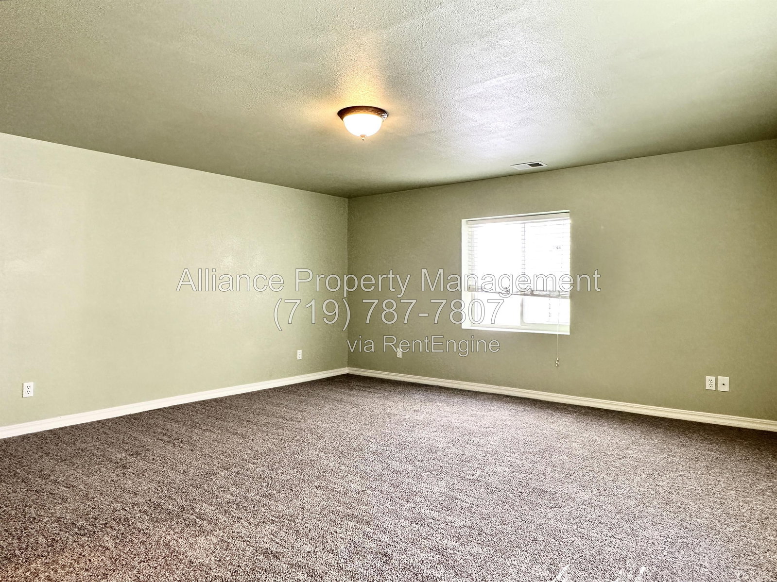 Gallery Image 41