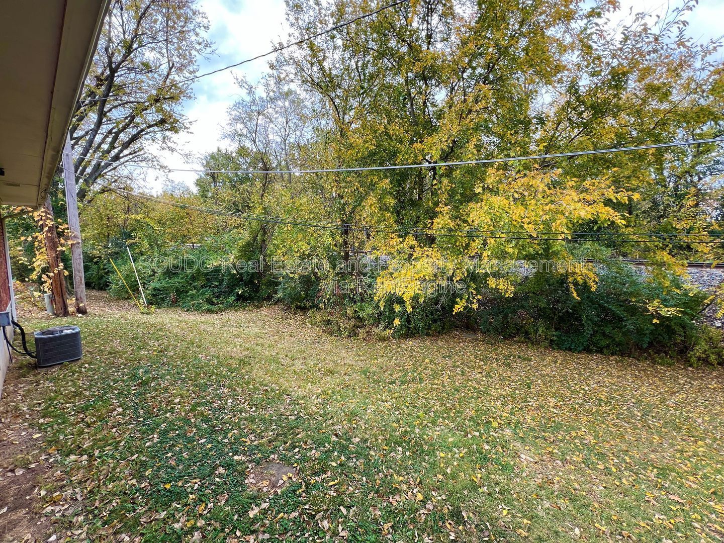 Gallery Image 13