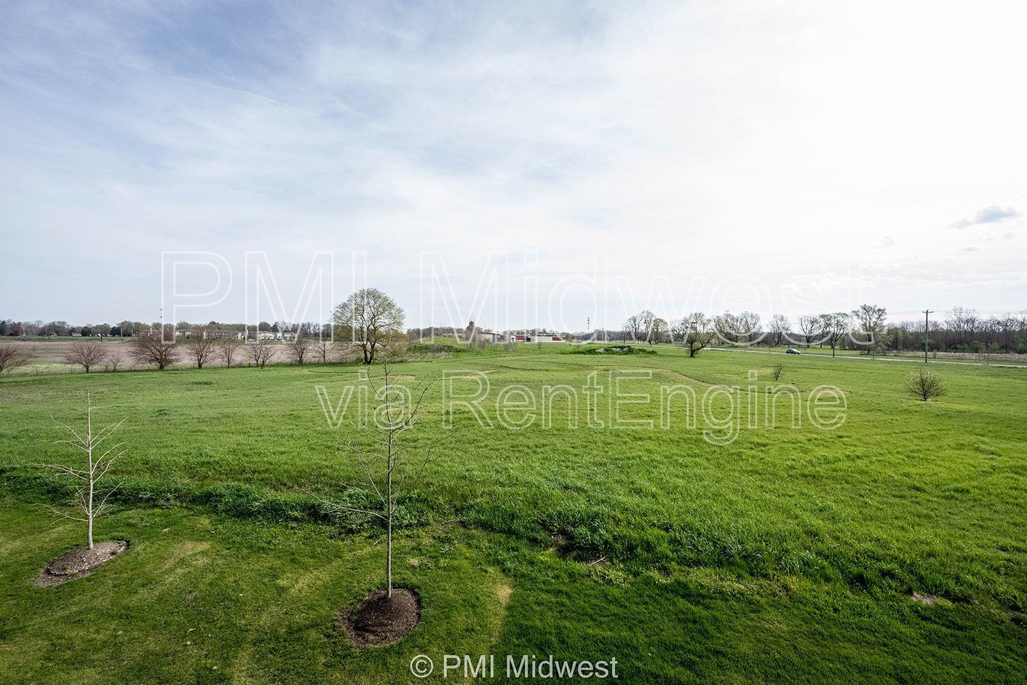Gallery Image 49