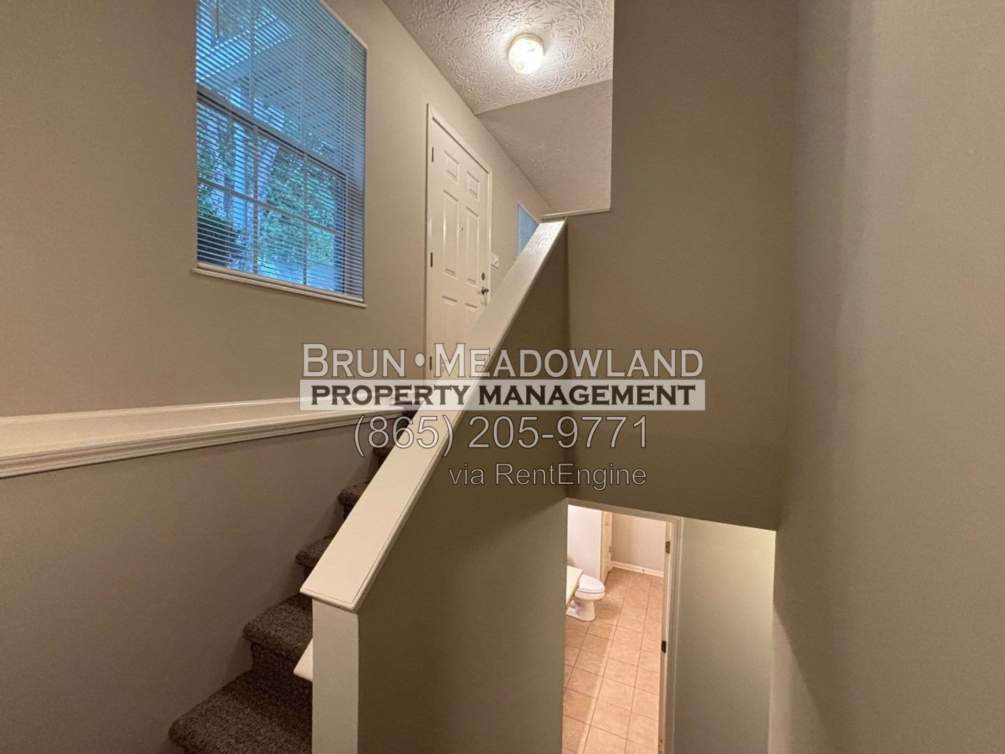 Gallery Image 20