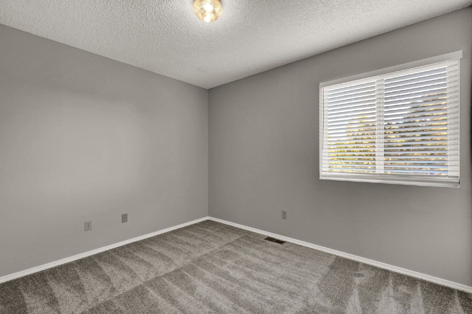 Gallery Image 25