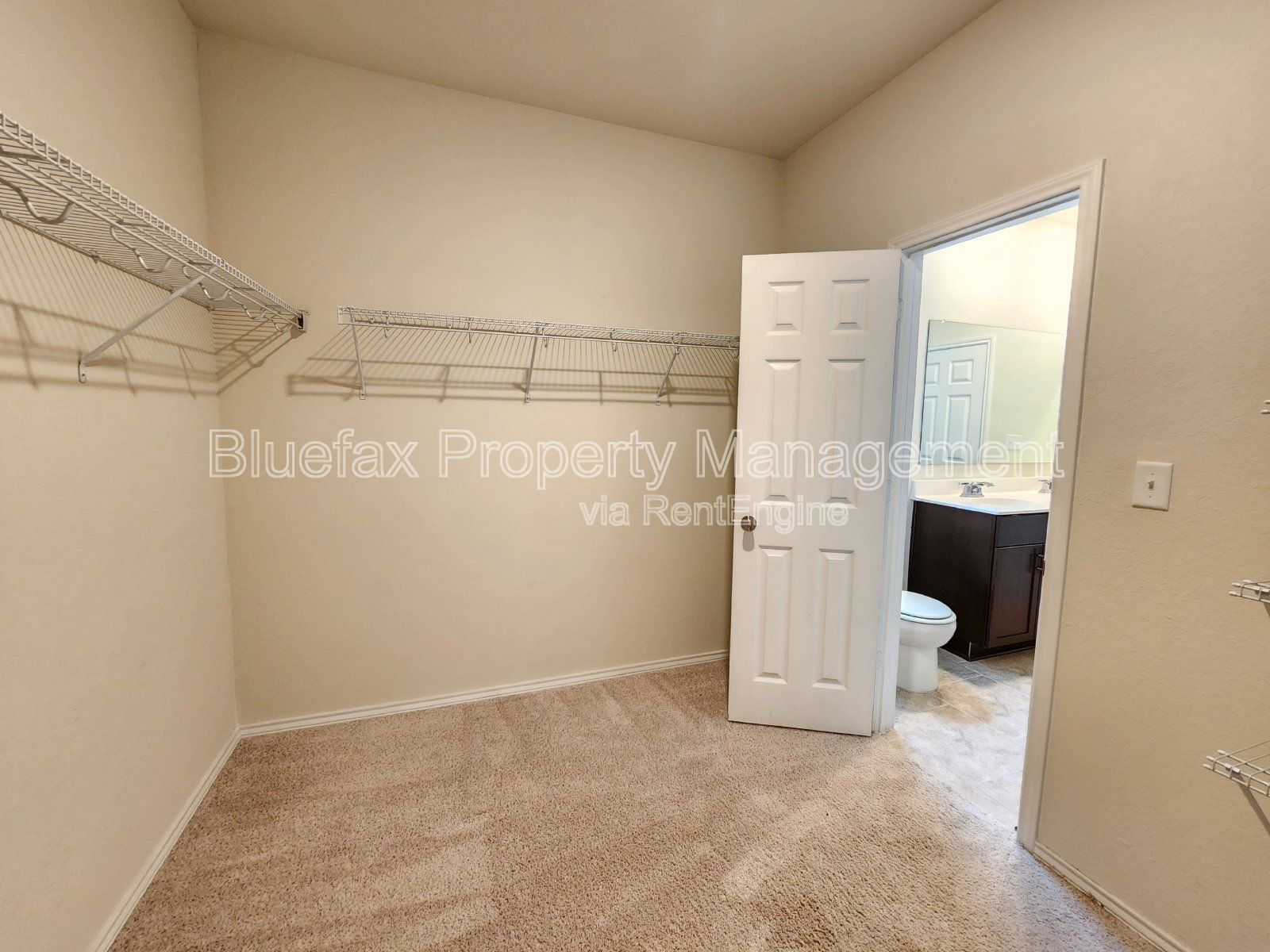 Gallery Image 19