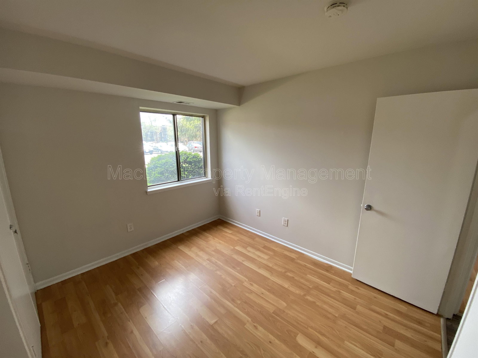 Gallery Image 43