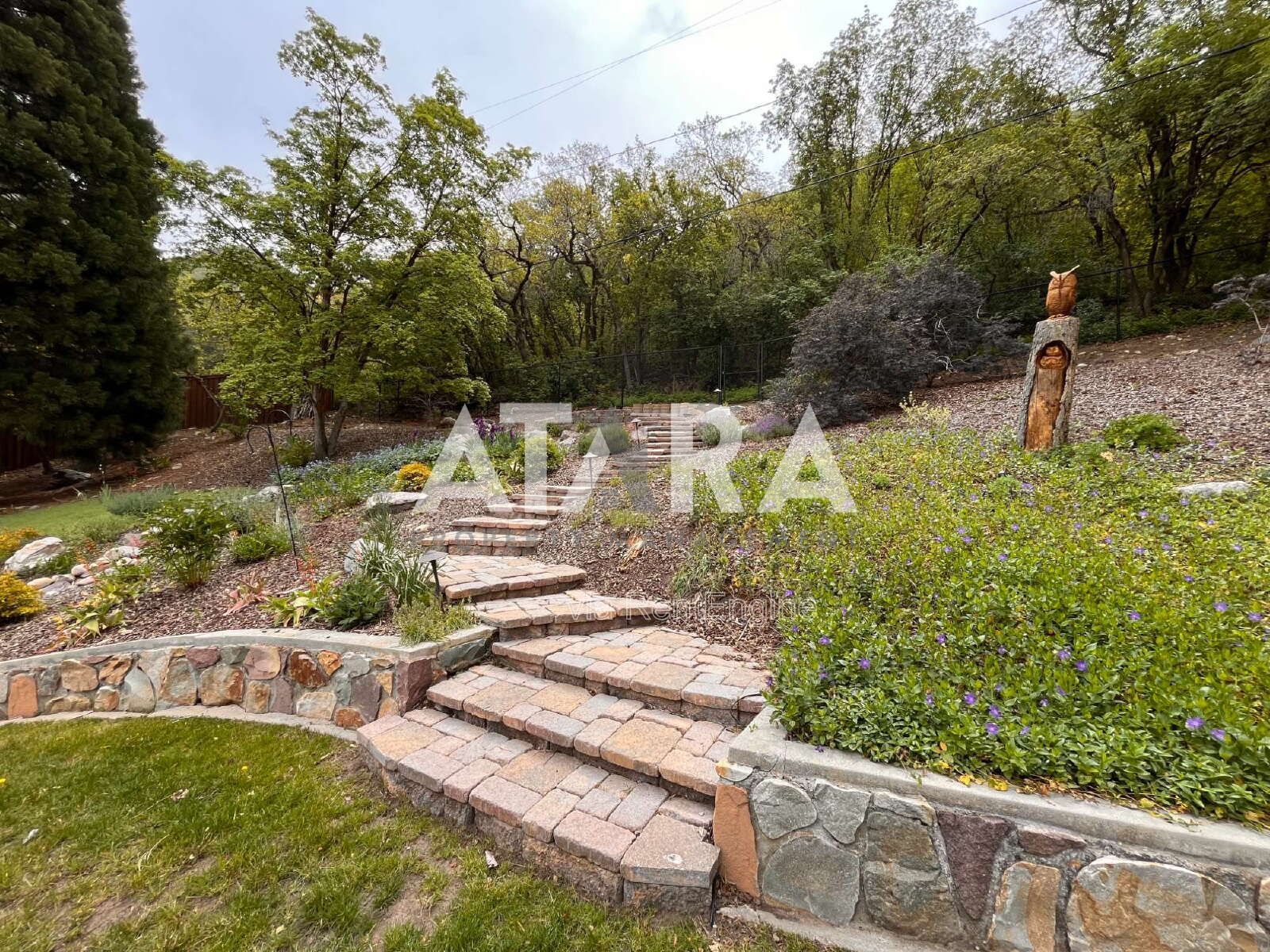 Gallery Image 62