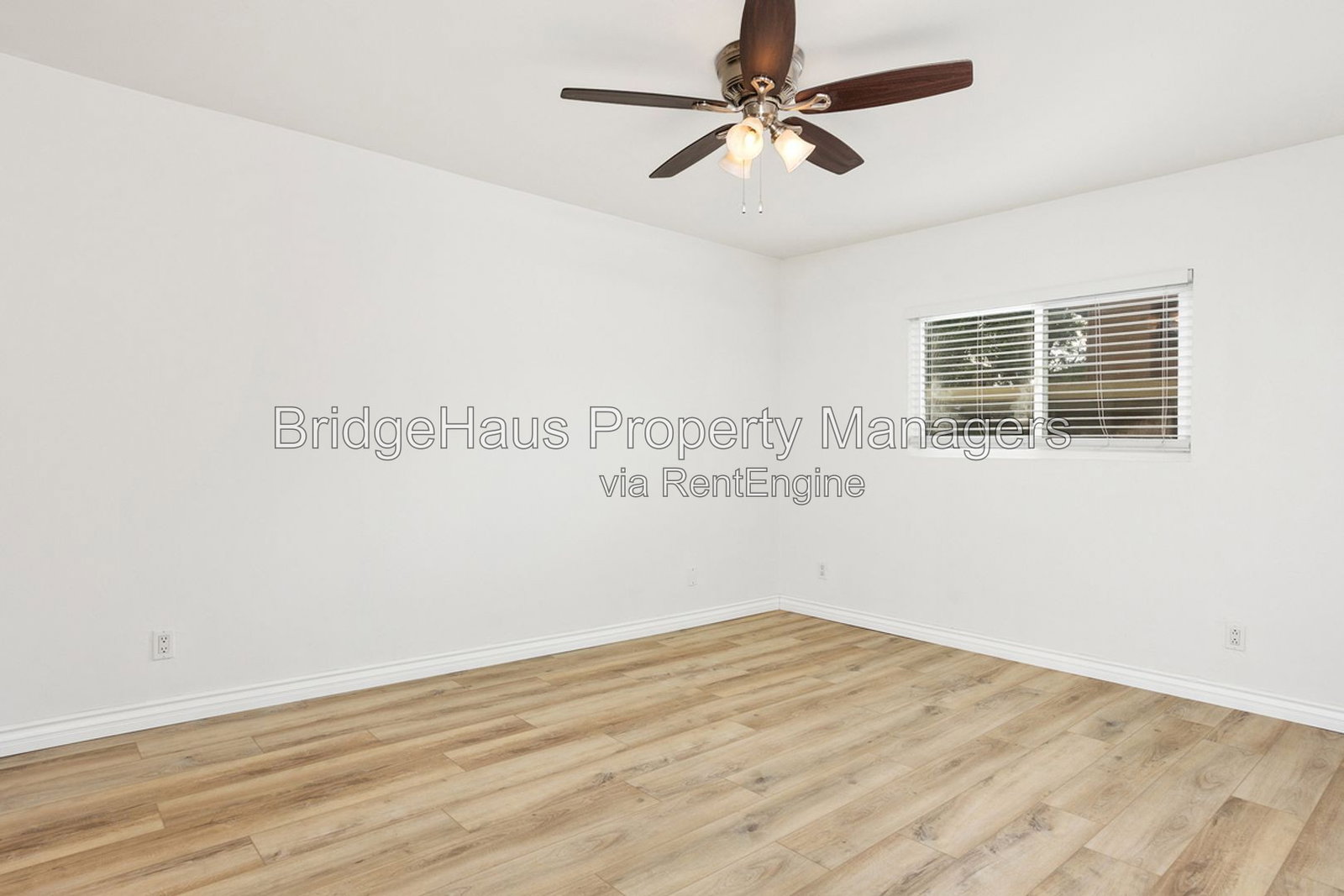 Gallery Image 19
