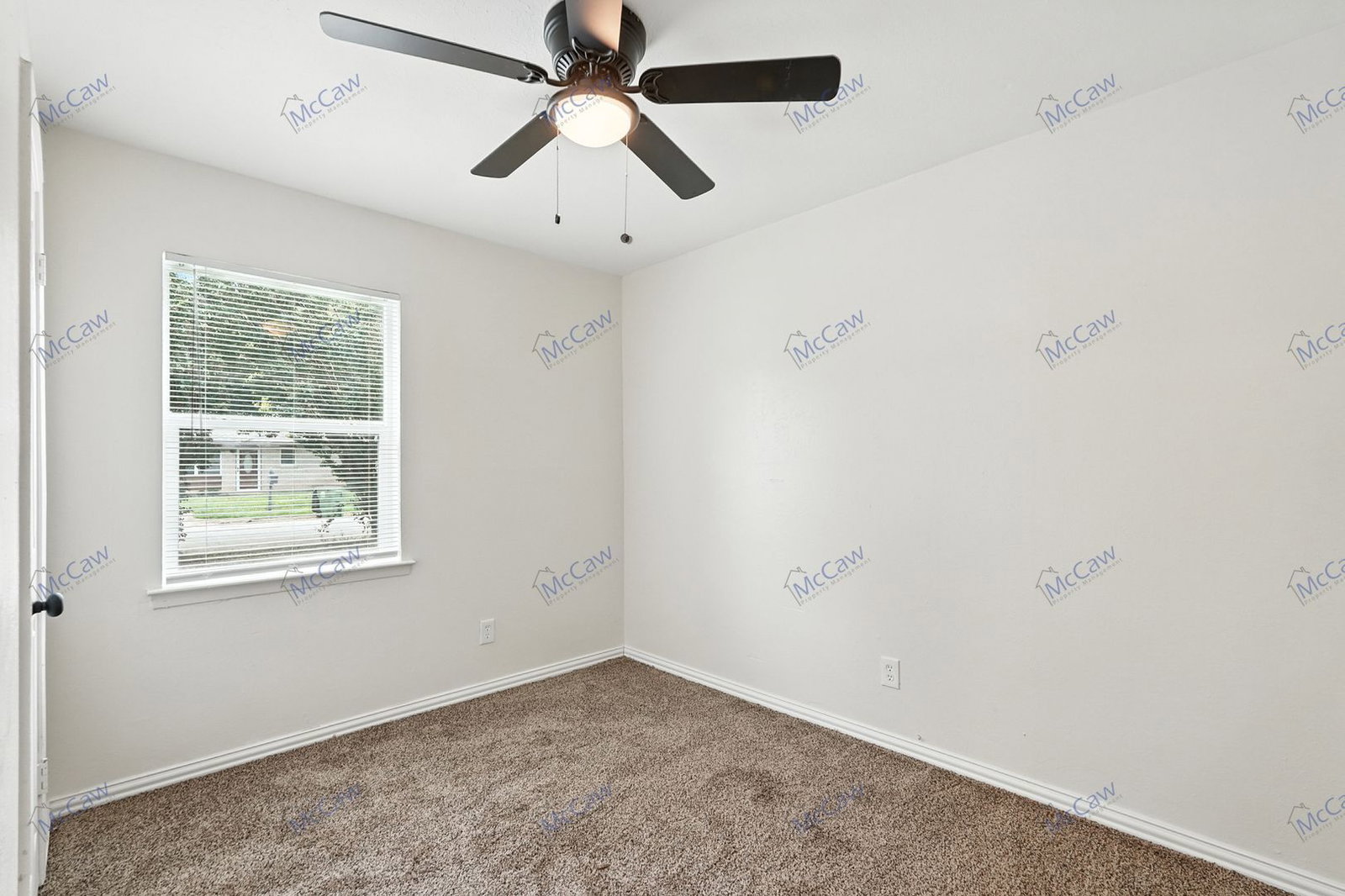 Gallery Image 19