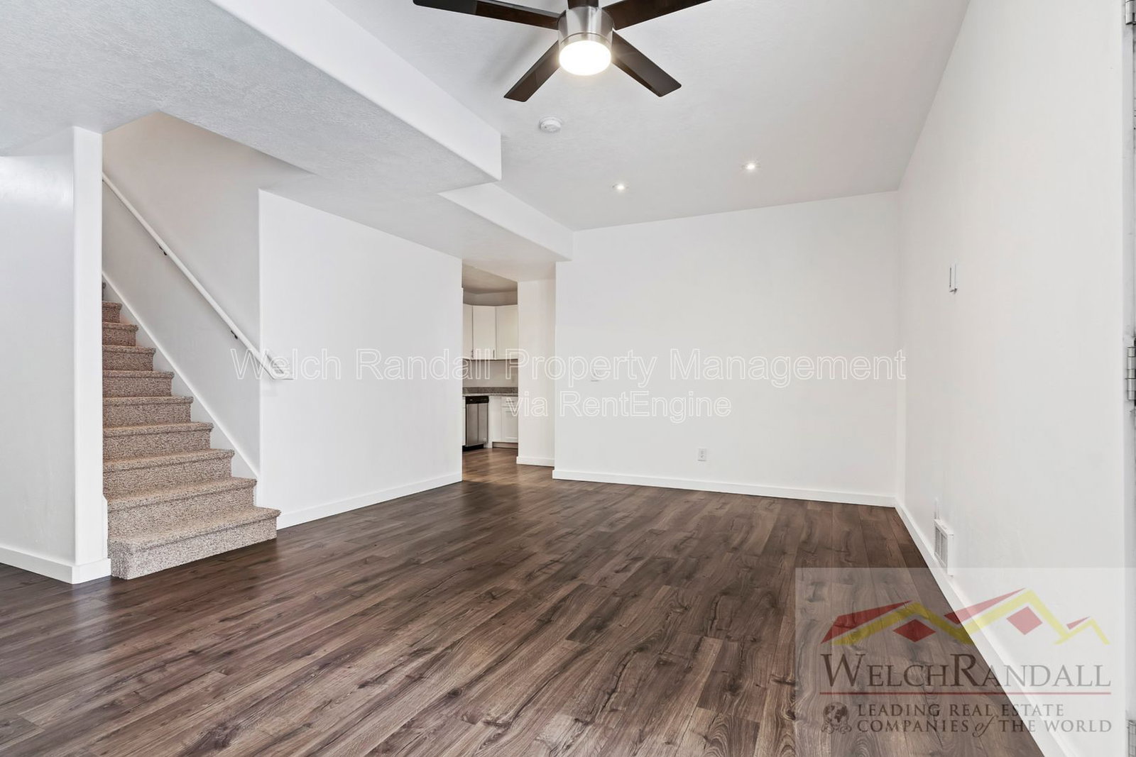 Gallery Image 19