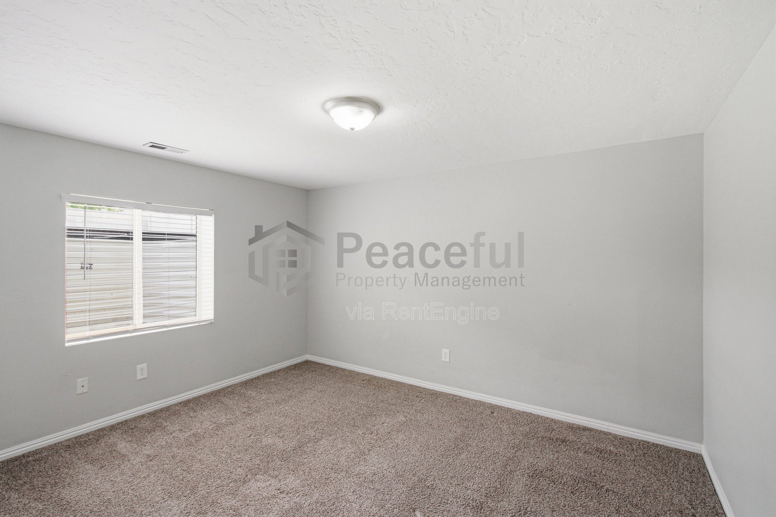 Gallery Image 19